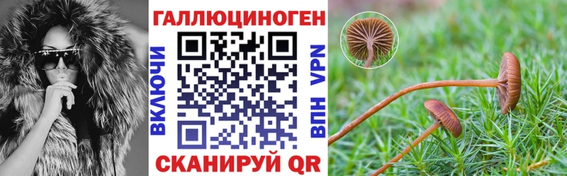 Псилоцибиновые грибы прущие грибы  Купить  Белёв 